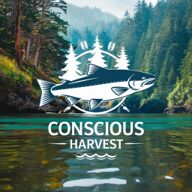 Conscious Harvetst Conscious Harvetst