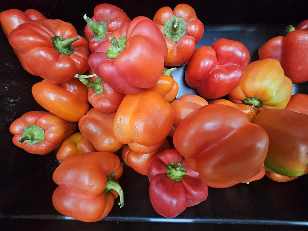 Red bell peppers Red bell peppers