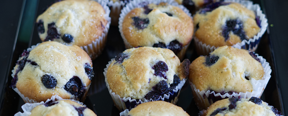 Blueberry muffins Blueberry muffins
