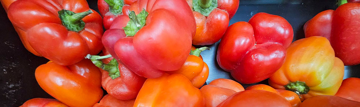 Bell Peppers